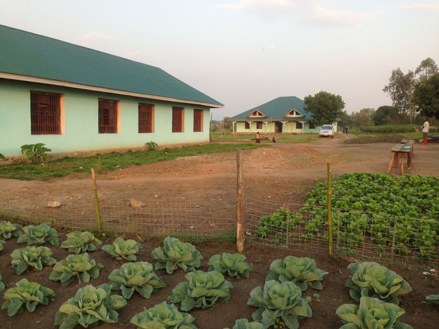 Vegetable gardens around the classroom block at the HCLS secondary school